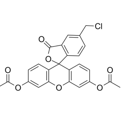 5-氯甲基荧光素二乙酸酯 5-氯甲基荧光素二乙酸酯