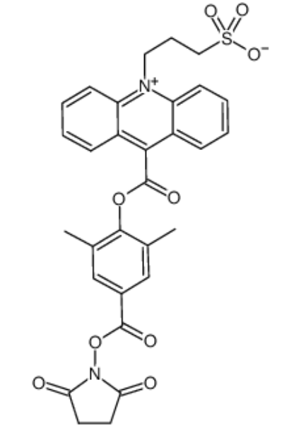 吖啶酯NSP-DMAE-NHS 吖啶酯NSP-DMAE-NHS