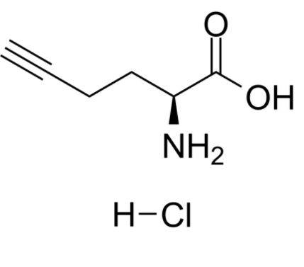 L-Homopropargylglycine hydrochloride L-Homopropargylglycine hydrochloride