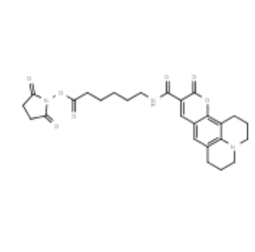 AF 343 (香豆素) X活性酯