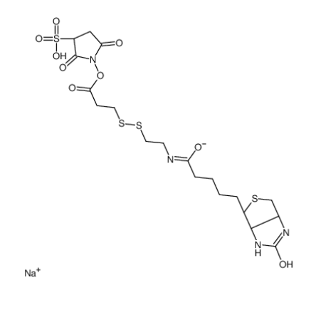 Sulfo-NHS-SS-Biotin sodium 
