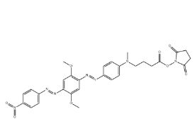 BHQ-2琥珀酰亚胺酯 BHQ-2琥珀酰亚胺酯