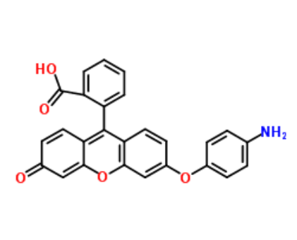 Aminophenyl Fluorescein Aminophenyl Fluorescein