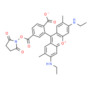 216699-37-5 216699-37-5