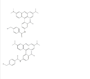 活细胞示踪探针(橙色) 活细胞示踪探针(橙色)