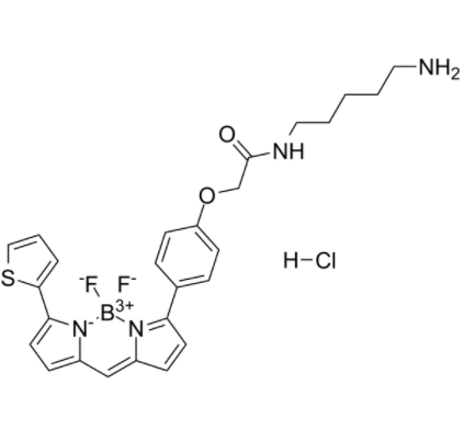 1758615646938429.png image.png