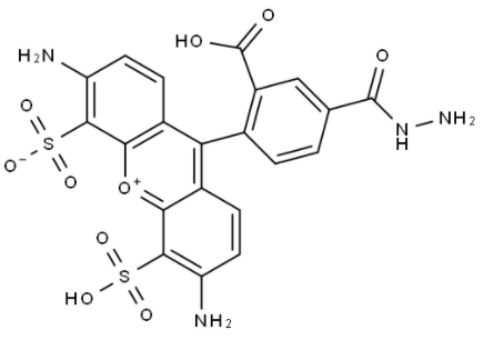 BP Fluor 488 Hydrazide BP Fluor 488 Hydrazide