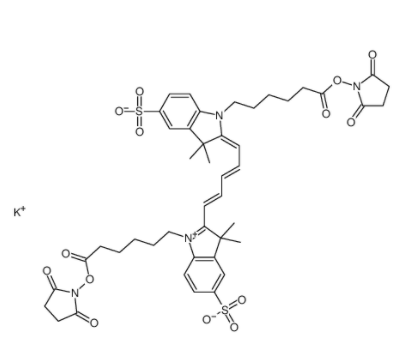 花青5双己酸染料,琥珀酰亚胺酯,钾盐 花青5双己酸染料,琥珀酰亚胺酯,钾盐