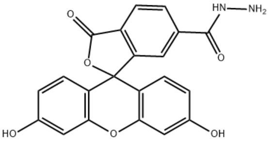 6-FAM Hydrazide 6-FAM Hydrazide