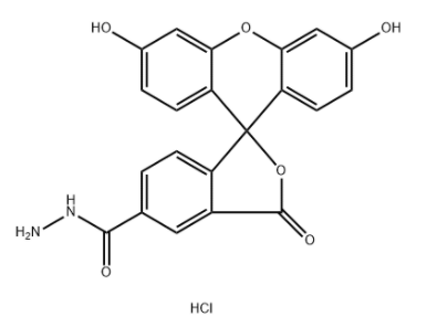 5-FAM hydrazide HCl 5-FAM hydrazide HCl