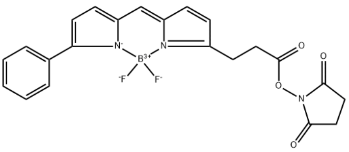 BODIPY-R6G-NHS Ester BODIPY-R6G-NHS Ester
