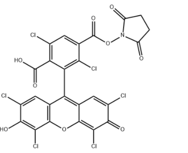 1758706851268759.png image.png