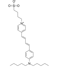 107610-19-5 107610-19-5