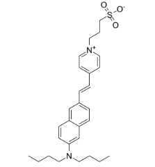 Di-4-ANEPPS Di-4-ANEPPS