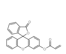 荧光素邻丙烯酸 荧光素邻丙烯酸