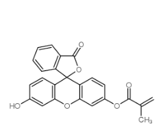Fitc-methacrylate Fitc-methacrylate