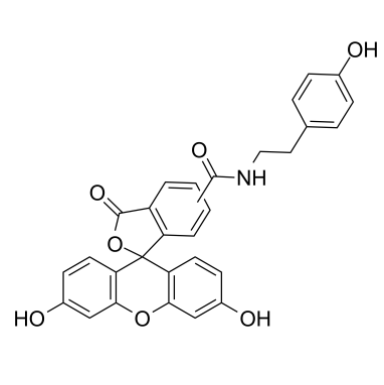 Fluorescein Tyramide Fluorescein Tyramide