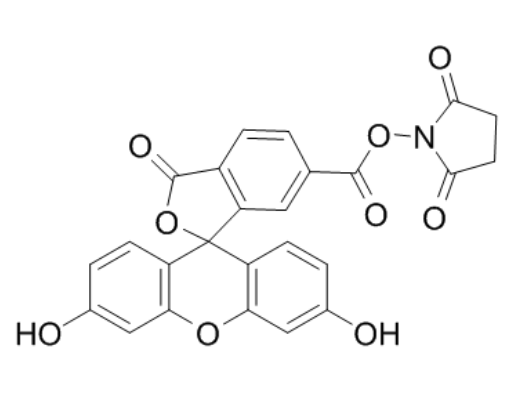 1759040967478335.png image.png