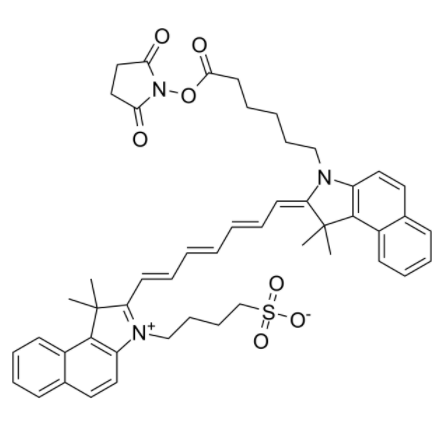 吲哚菁绿-琥珀酰亚胺酯	 