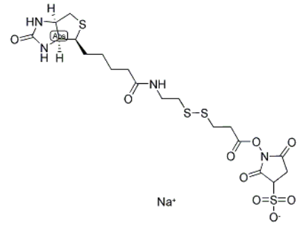 1759042916874122.png image.png