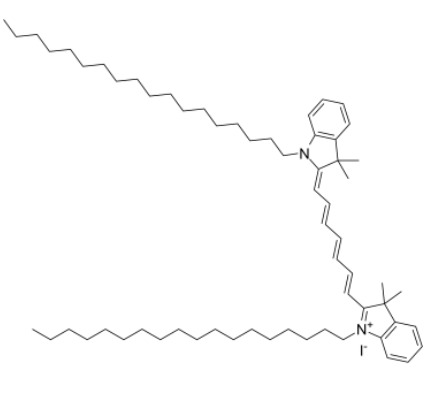 细胞膜荧光探针DiR 细胞膜荧光探针DiR