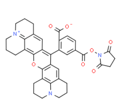 1759129925134311.png image.png