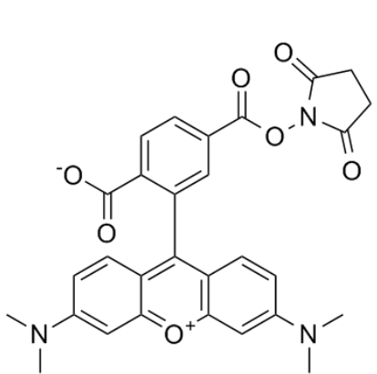 1759130941963707.png image.png