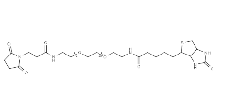 Biotin PEG11 amido Maleimide