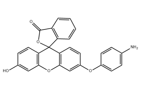 Aminophenyl fluorescein Aminophenyl fluorescein