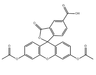 5-Carboxyfluorescein diacetate 5-Carboxyfluorescein diacetate