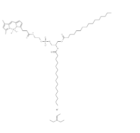 BDP FL-DHPE BDP FL-DHPE