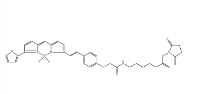 BDY 630-X, SE BDY 630-X, SE