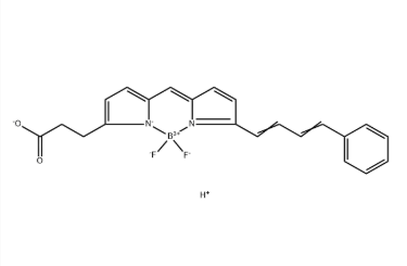 BODIPY 581/591 COOH BODIPY 581/591 COOH