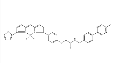 BDP TR methyltetrazine BDP TR methyltetrazine