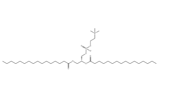 NHS-PEG-COOH NHS-PEG-COOH