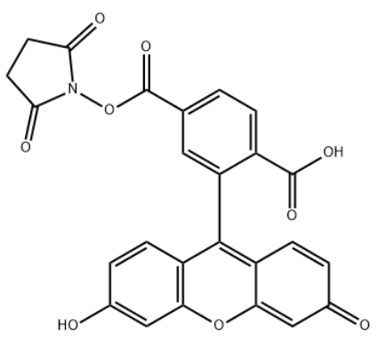 1763625583998368.png image.png