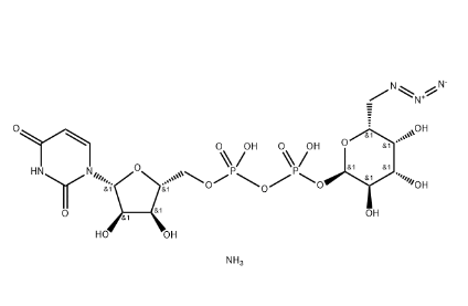 1764140946787611.png image.png