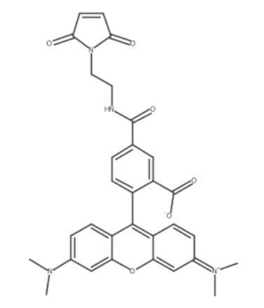 Tetramethylrhodamine-5 C2 maleimide Tetramethylrhodamine-5 C2 maleimide