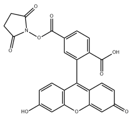 FAM NHS ester, 6-isomer FAM NHS ester, 6-isomer