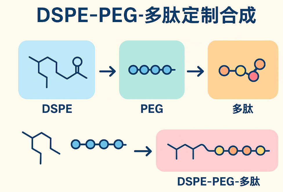 DSPE-PEG-多肽定制