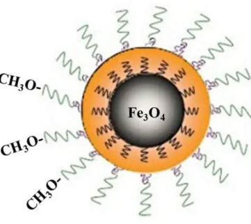 PEG-Fe₃O₄ 磁性纳米颗粒 PEG-Fe₃O₄ 磁性纳米颗粒