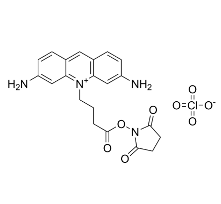 AT 465 NHS Ester AT 465 NHS Ester
