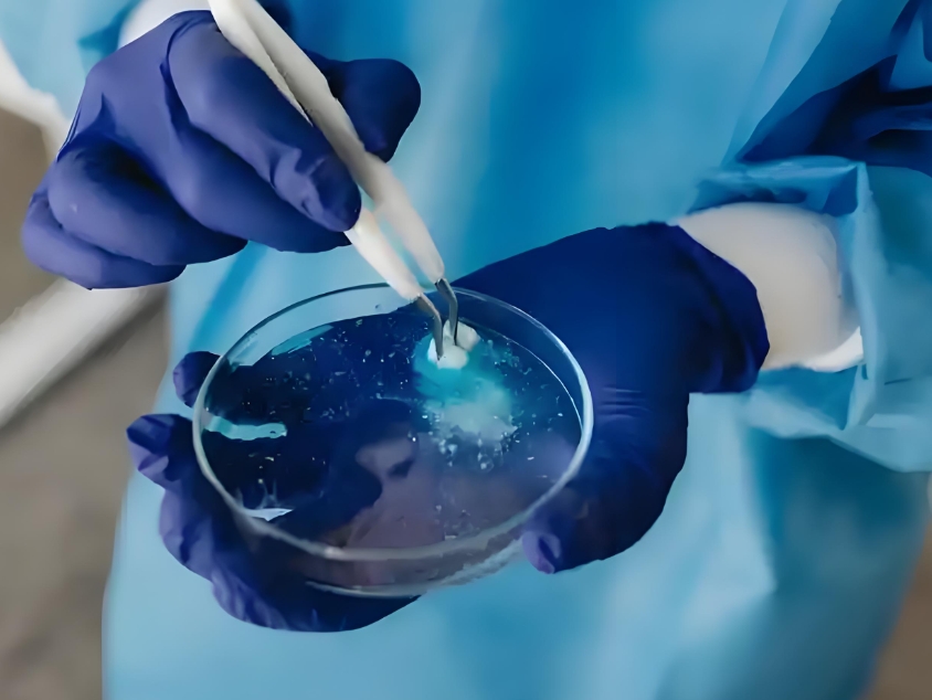 金属纳米颗粒无序阵列 金属纳米颗粒无序阵列