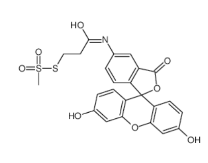 MTS-4-荧光素 MTS-4-荧光素