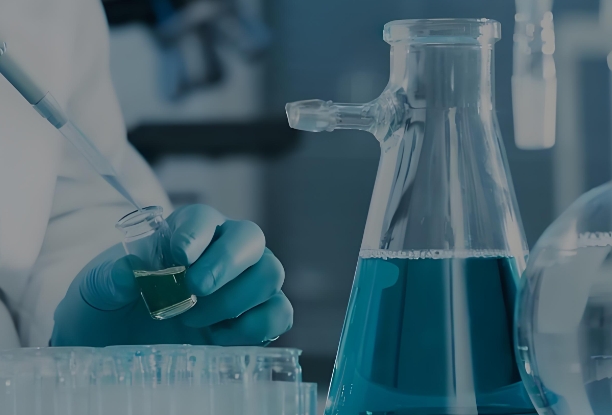 MnO₂ Nanoparticles MnO₂ Nanoparticles