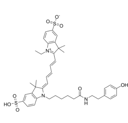 1764919662168697.png image.png