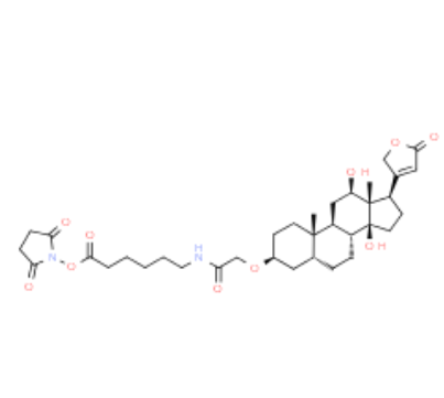 1764920931419447.png image.png