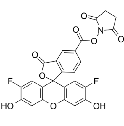 1764921075226376.png image.png