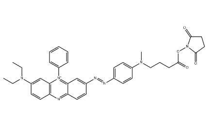 1764921766251565.png image.png