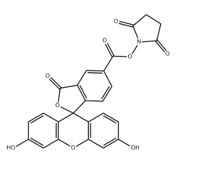 92557-80-7：5-fam NHS